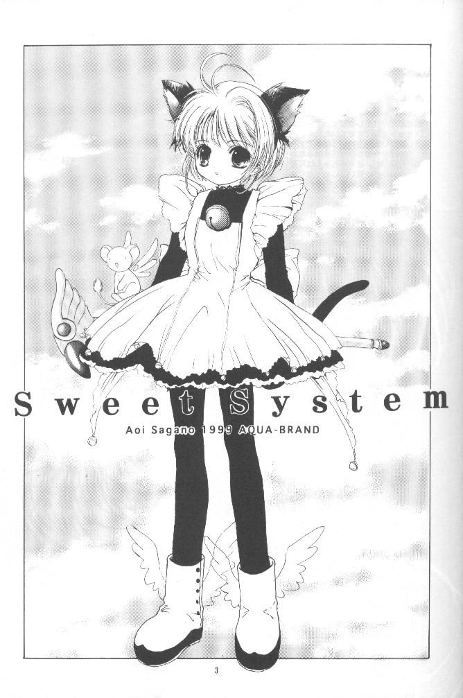 Sewwt System page 2 full
