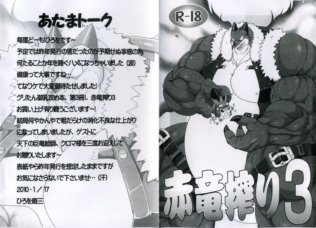 Sekiryuu Shibori 3 page 2 full