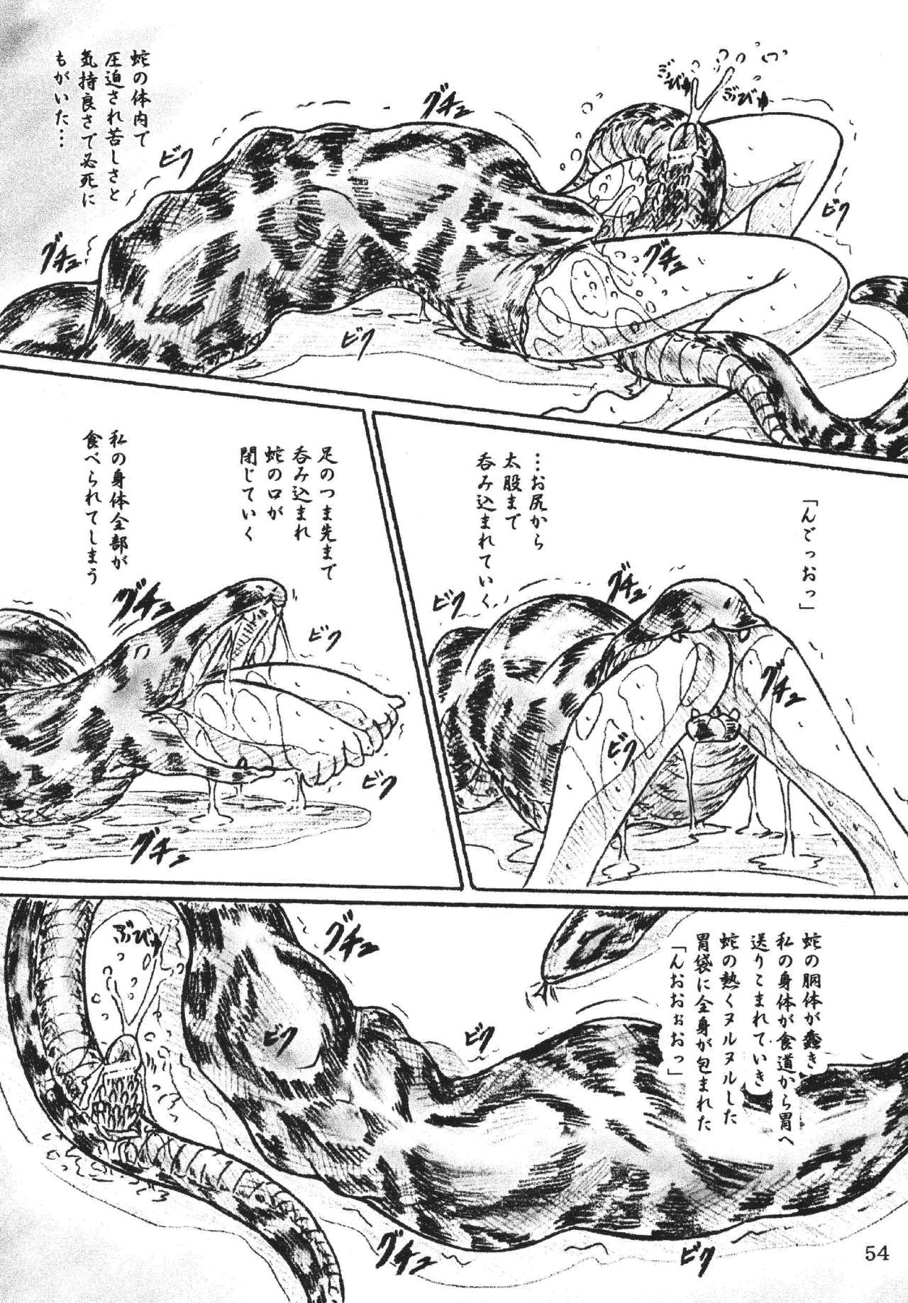 Vivian Bessatsu 32 - Ugomeku Ibukuro page 12 full