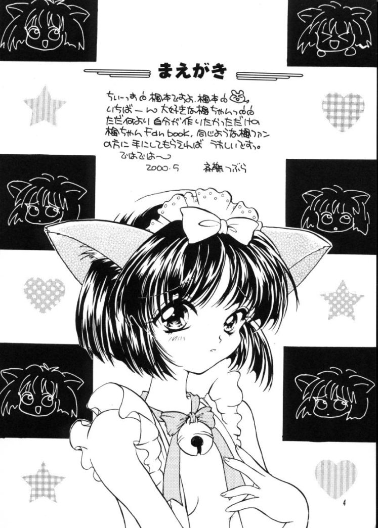 Kaede no Hon page 3 full