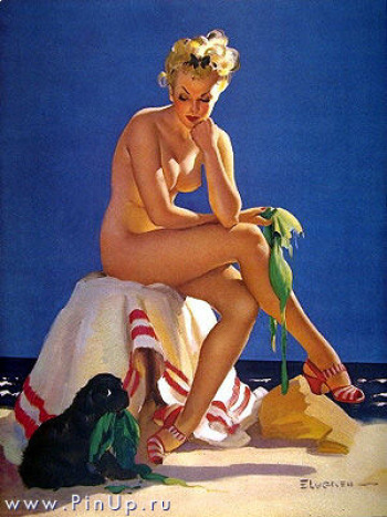 My Pin-Up Collection cover