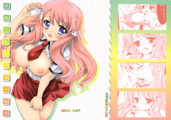 [Kurosawa pict (Kurosawa Kiyotaka)] Himeji-san to Test Benkyou (Baka to Test to Shoukanjuu) cover