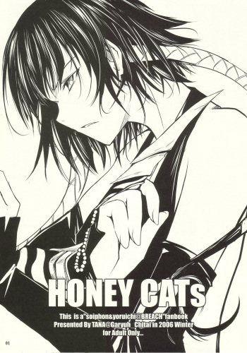 (C71) [Garyuh-Chitai (TANA)] HONEY CATs (Bleach) cover