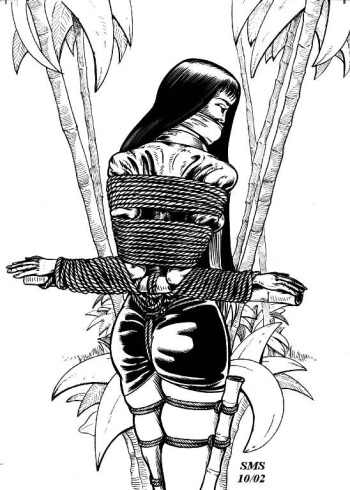SMS Bondage Art cover