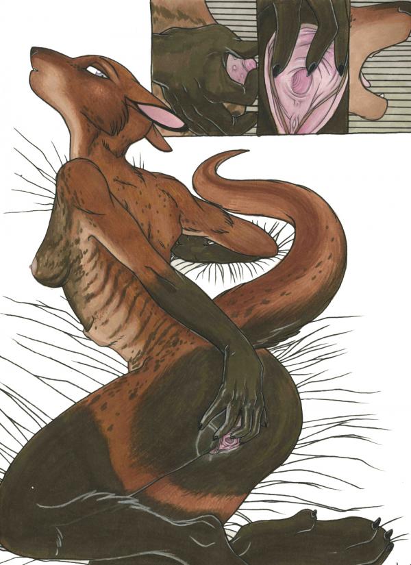 kangaroo furry page 11 full