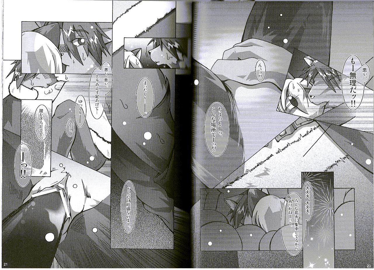Seishun 18kin Kippu 5 page 11 full