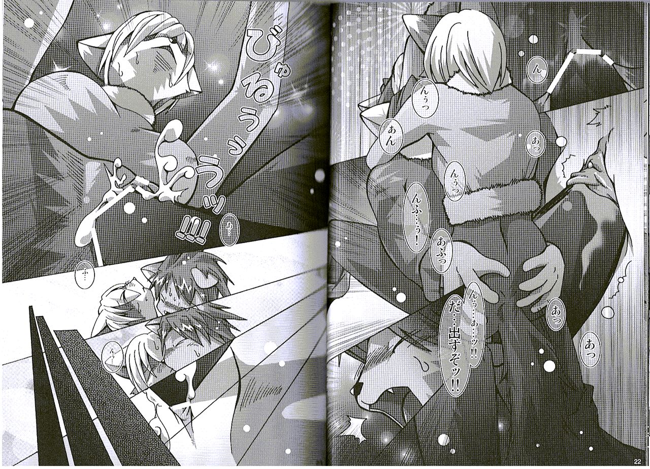 Seishun 18kin Kippu 5 page 12 full