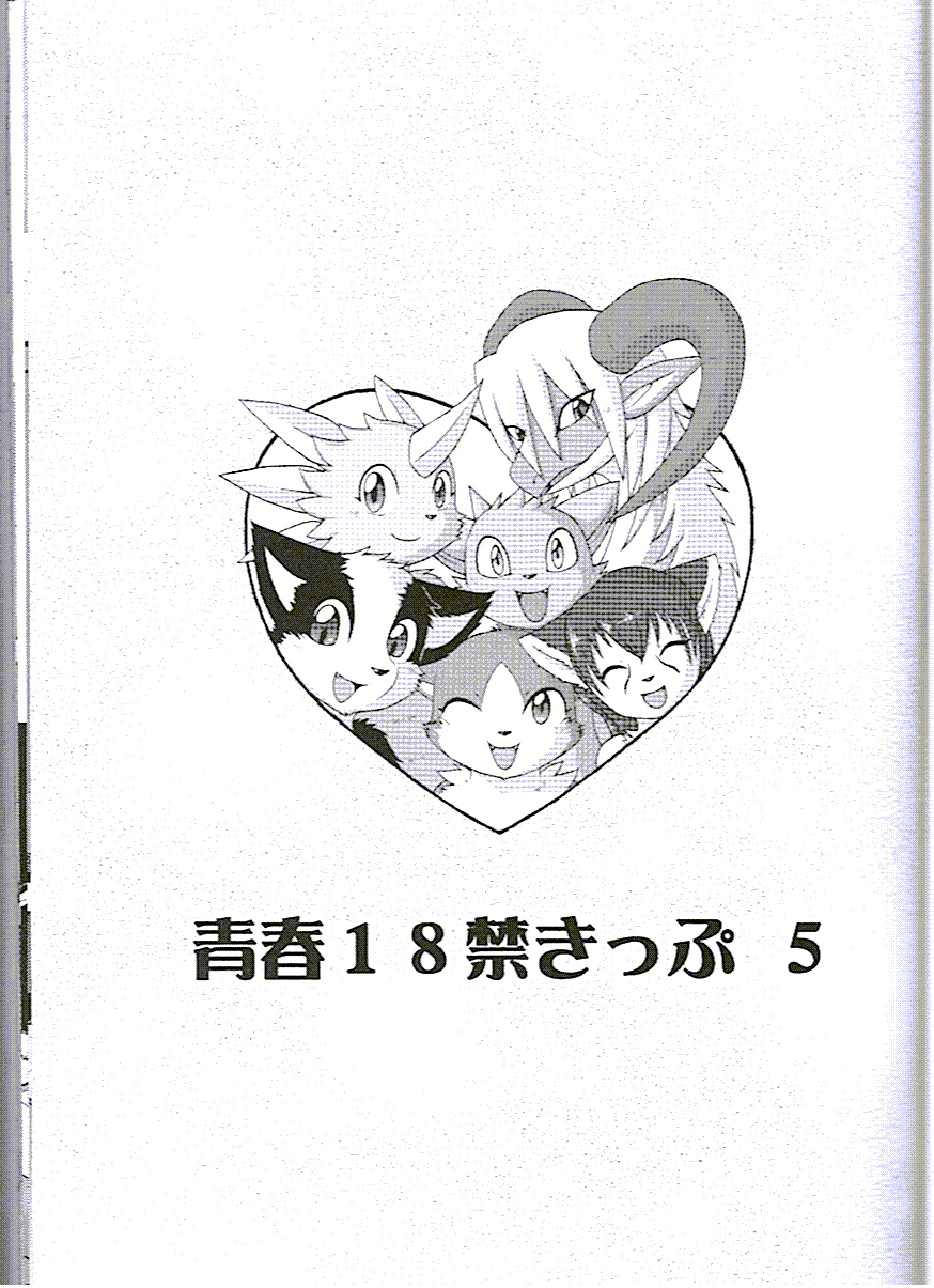 Seishun 18kin Kippu 5 page 2 full