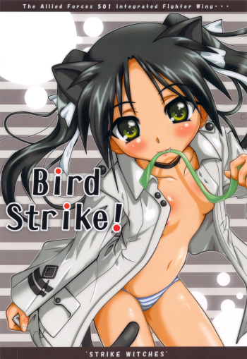 (C77) [Terra Drive (Teira)] Bird Strike! (Strike Witches) cover
