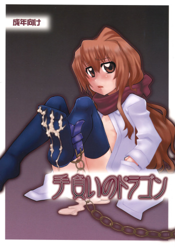 (C77) [Uso Seisakujo (Solomon K)] Teoi no Dragon (Toradora!) cover
