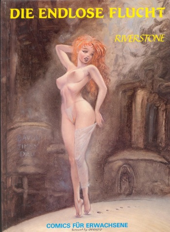 Die endlose Flucht (German) cover