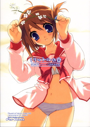 (C69) [Black Shadow (Sacchi)] BS#09 1 letre no Hana | Flowers of letre (ToHeart 2) cover