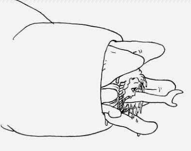 Duamutef's Glorious Vore Works page 8 full