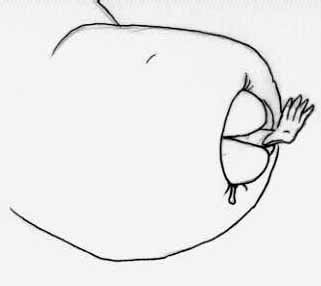 Duamutef's Glorious Vore Works page 9 full