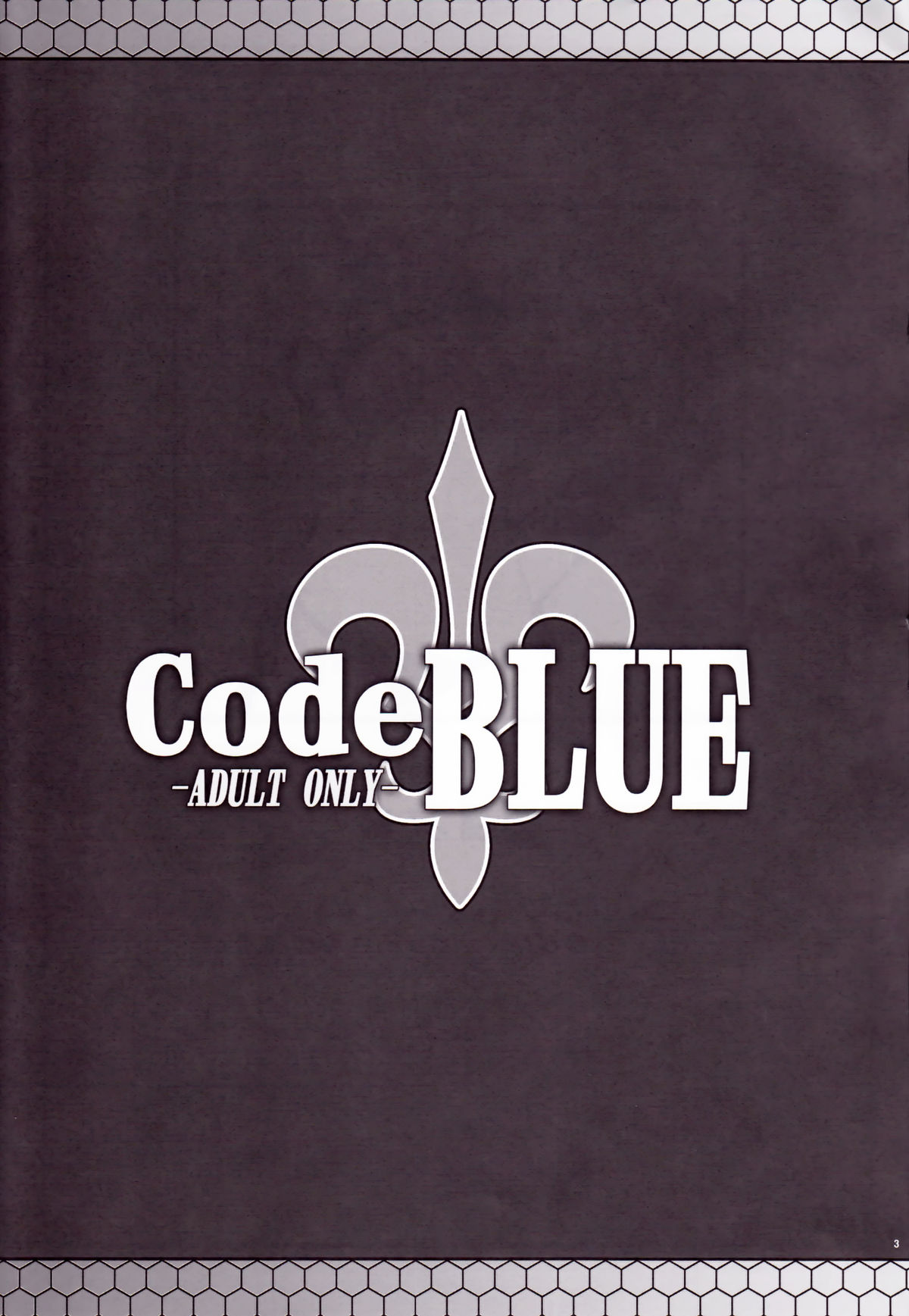 CodeBLUE page 2 full