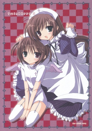 (C71) [NECOTOXIN (Inugami Kira)] TwinBerry 2 (Rozen Maiden) cover