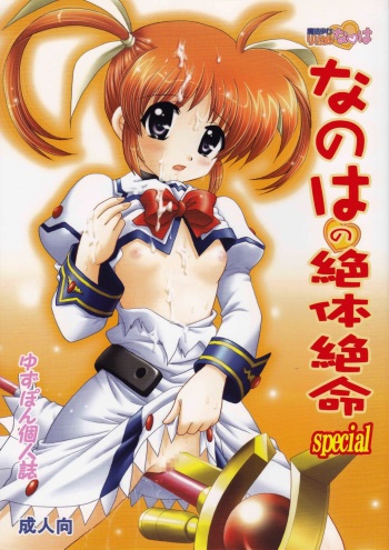 (C73) [TecchiTecchi (Yuzupon)] Nanoha no Zettai Zetsumei Special (Mahou Shoujo Lyrical Nanoha) cover
