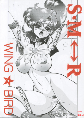 (C62) [Jingai Makyou Club (Wing☆Bird)] S&middot;M&harr;R (Sailor Moon) [English] cover