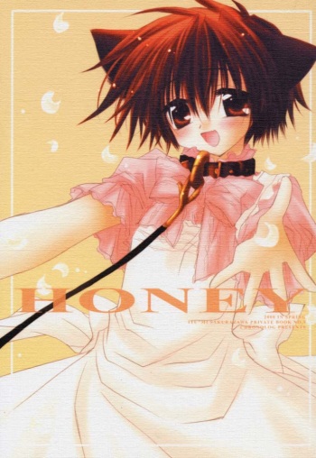 (CR27) [CHRONOLOG (Kanaru Fujimiya, Sakurazawa Izumi)] HONEY (Shin Megami Tensei if...) cover