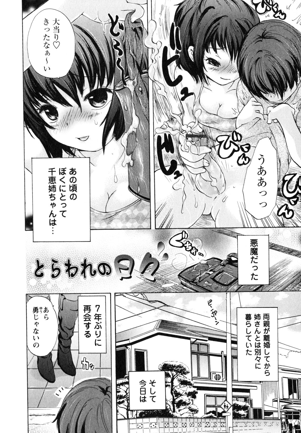 Onee-san no Nikutsubo page 11 full