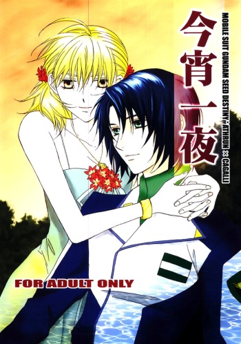 [Berry & Precious] Koyoi Ichiya (Gundam SEED DESTINY) cover