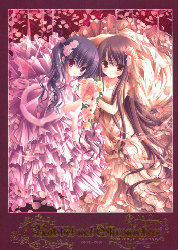 (C78) Rabbit.net Chronicles 2004-2010 cover