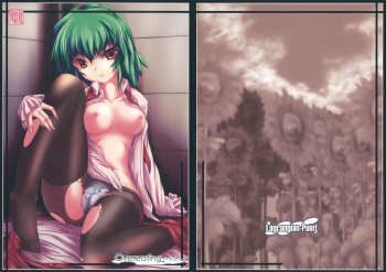 (C78) [Lagrangian-POINT (Akatsuki Tetora)] Overeating -Shouran- (Touhou Project) cover
