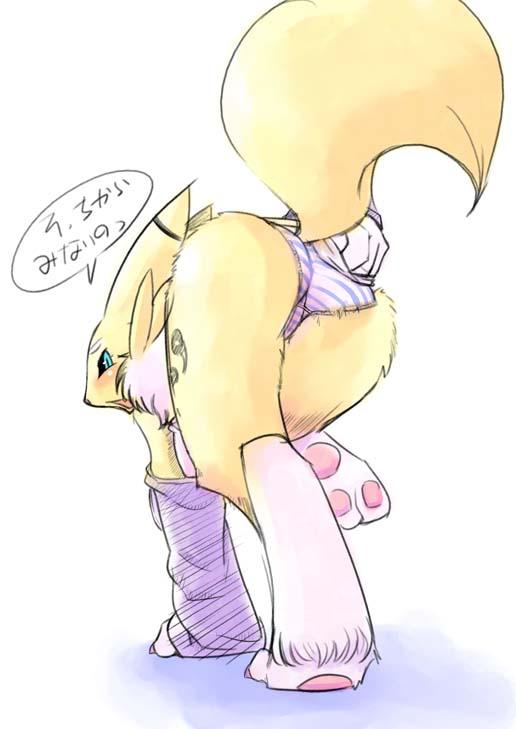 My Renamon Gallery page 11 full