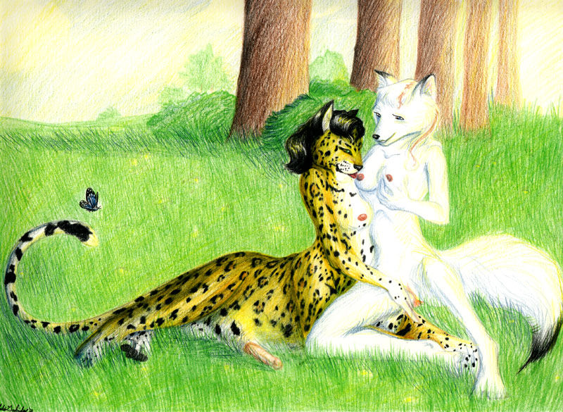 Furry Images page 10 full