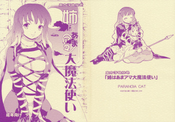 (C77) [Paranoia Cat (Fujiwara Shunichi)] Touhou Ukiyo Emaki - Ane wa Ama Ama Daimahoutsukai (Touhou Project) cover