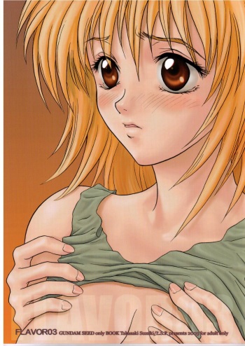 [L.S.P.] FLAVOR 03 (Kidou Senshi Gundam SEED) cover