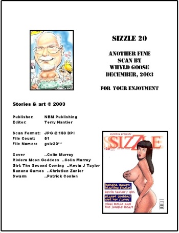 Sizzle Comix # 20 cover