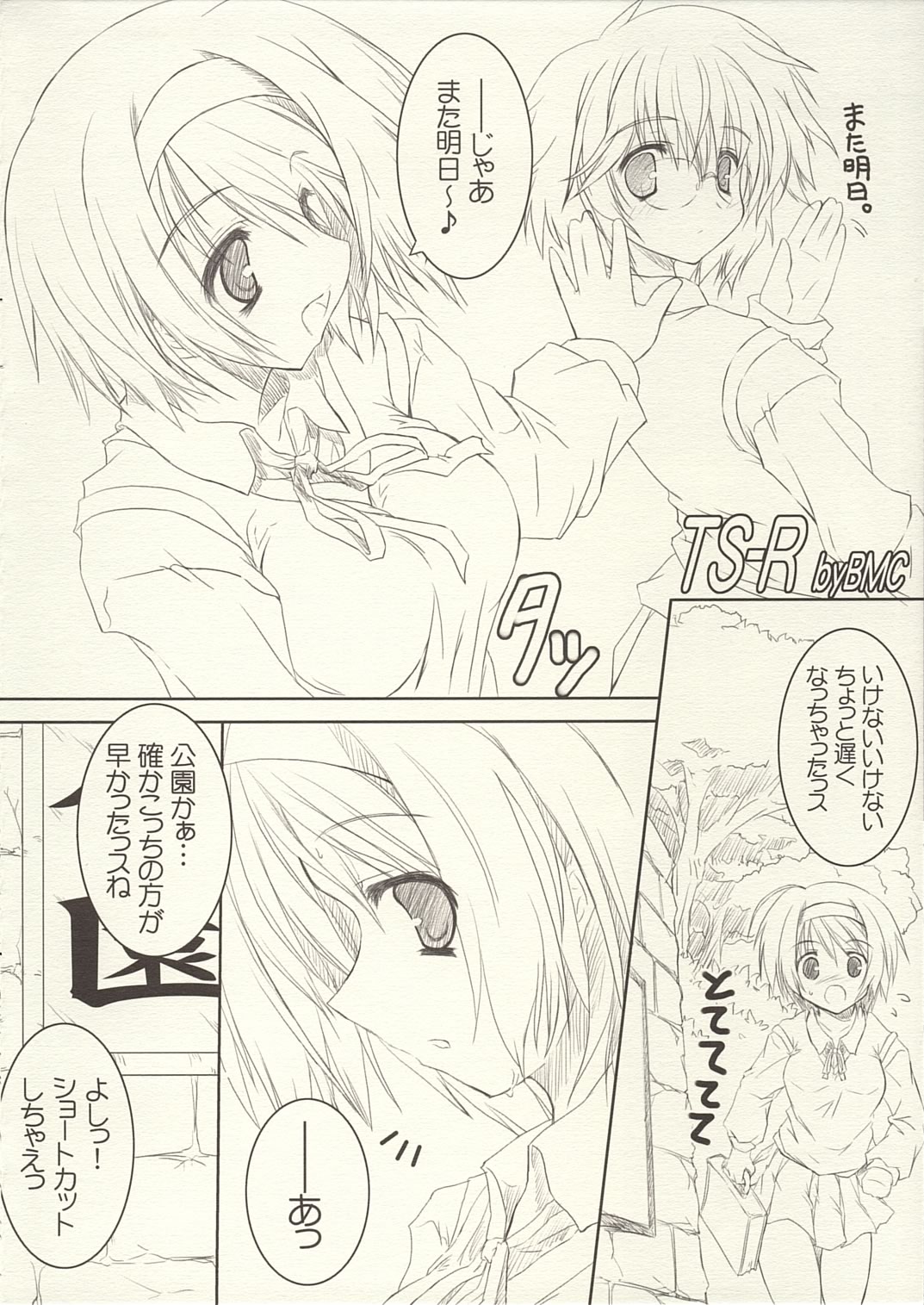 TS-R page 3 full