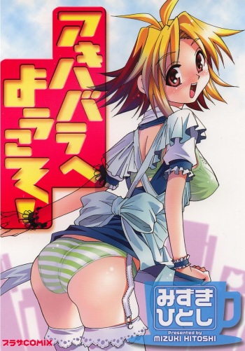 [Mizuki Hitoshi] Akihabara e Youkoso! cover