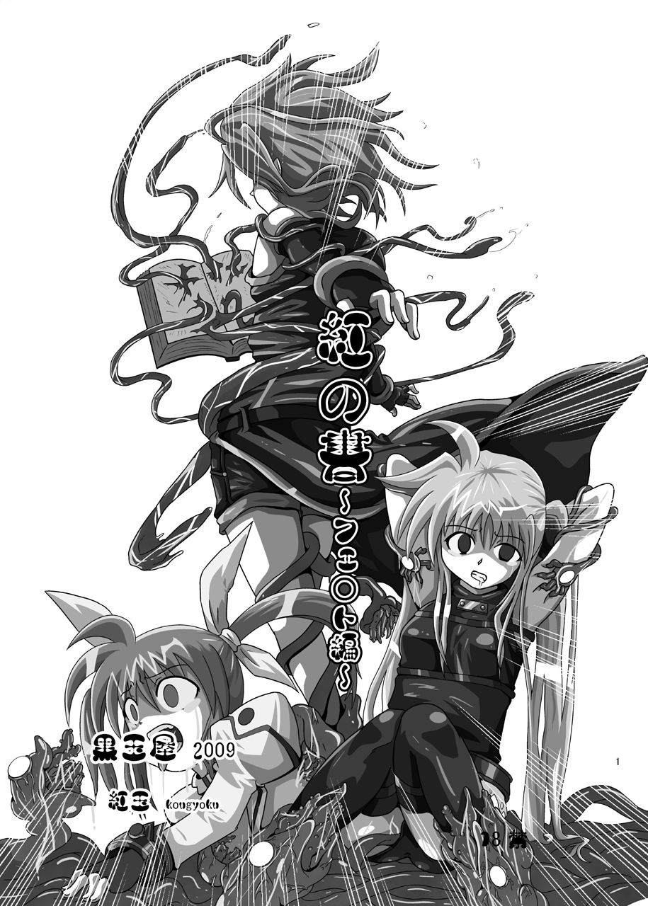 Kurenai no Syo -Fate hen- | The Crimson Book ~Fate side~ page 1 full