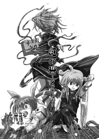 [Kurodama-ya (Akadama)] Kurenai no Syo -Fate hen- | The Crimson Book ~Fate side~ (Mahou Shoujo Lyrical Nanoha) [English] [desudesu] cover