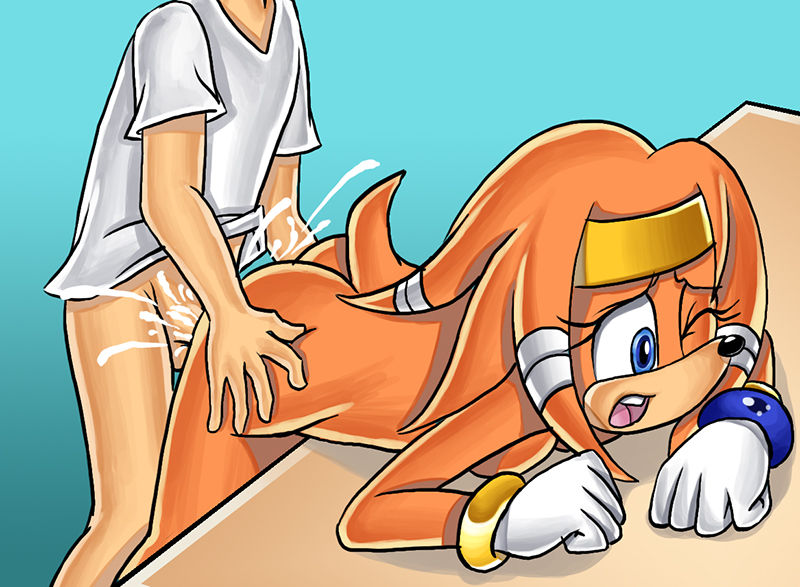 Large Sonic Collection- Tikal the Echidna - Page 7 - Comic Porn XXX