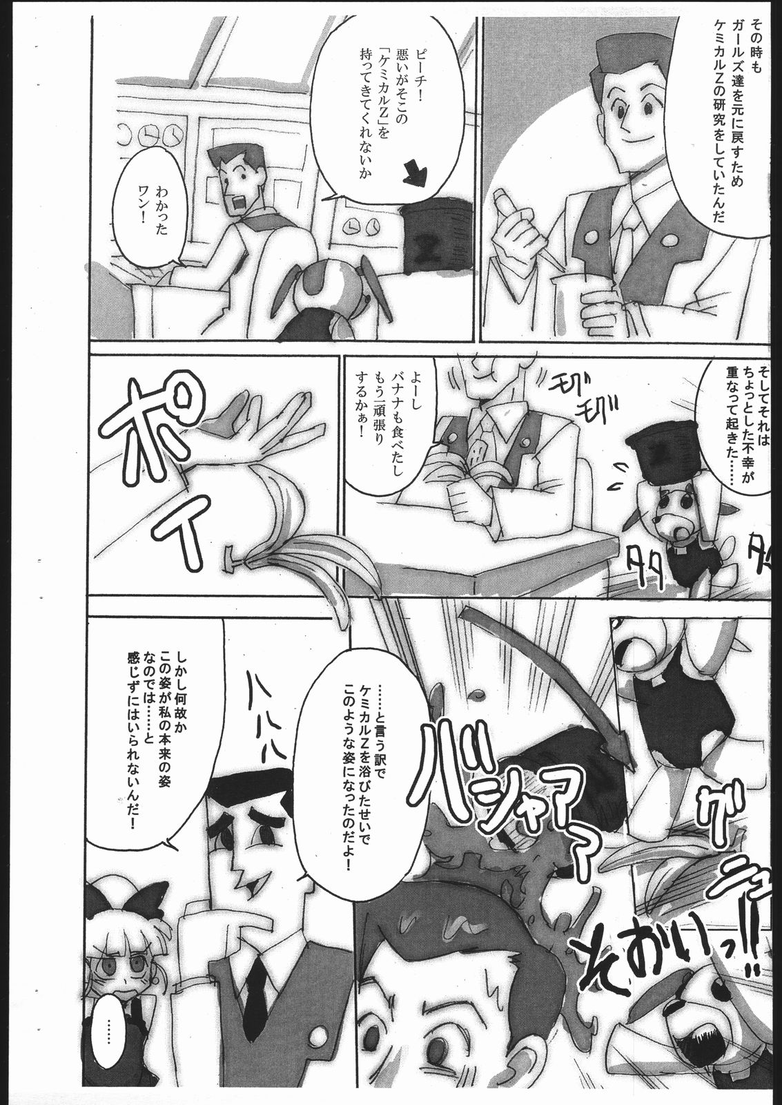 PPGZH page 3 full
