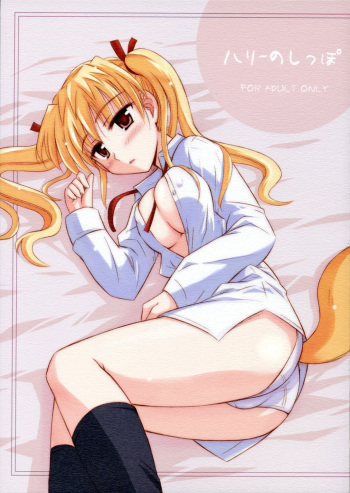 (C68) [Heppoko Youchien (Haruemon)] Harry no Shippo (School Rumble, Onegai My Melody) cover