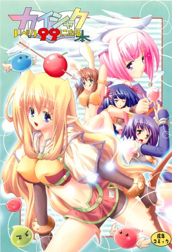 [Kaishaku] Kaishaku Level 99 ni Naru Hon (Ragnarok Online) cover