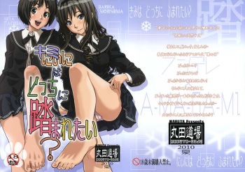 (C78) [MARUTA-DOJO (MARUTA)] Kimi wa Docchi ni Fumaretai? (Amagami) [English] =LWB= cover