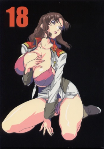 (C64) [studio C-TAKE (Miura Takehiro)] GUNYOU MIKAN vol.18 (Mobile Suit Gundam SEED) cover