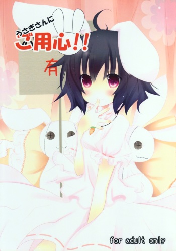 (C77) [eins (Kurata Tomo)] Usagisan ni Goyoujin!! (Touhou Project) cover