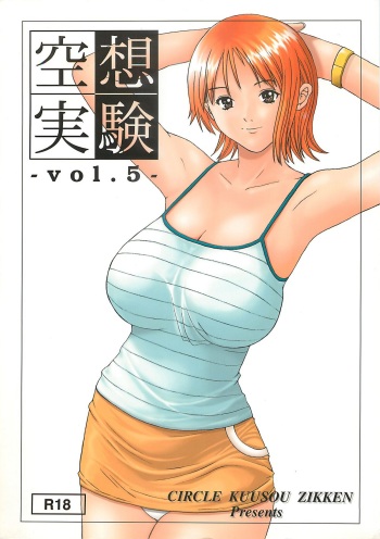 [Circle Kuusou Zikken (Munehito)] Kuusou Zikken vol.5 (ONE PIECE) cover