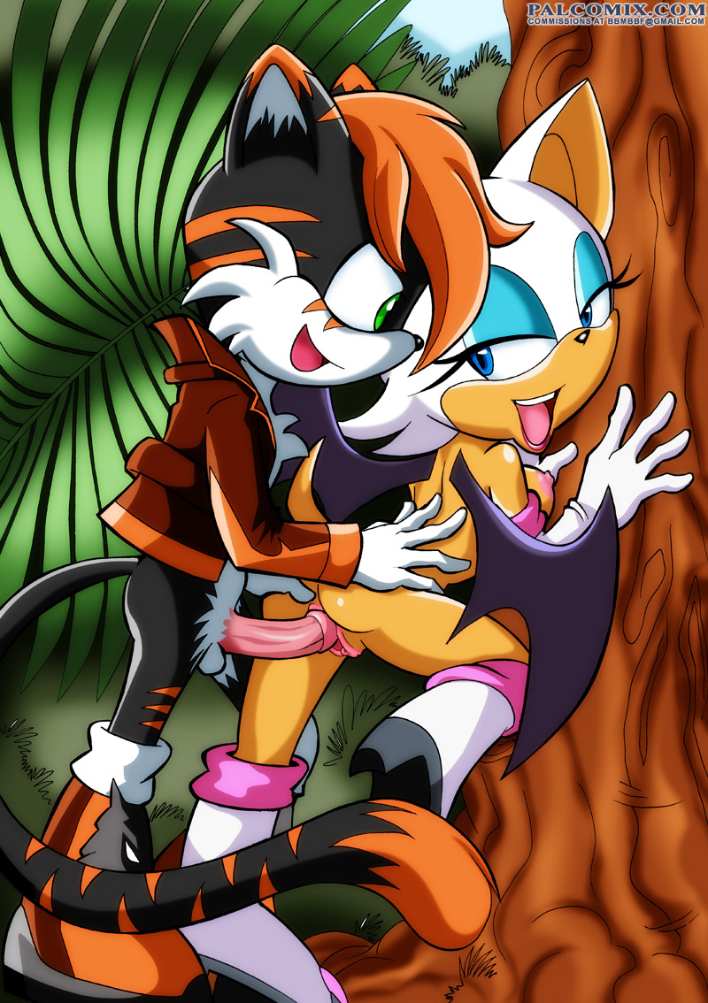 Sonic Pictures page 8 full