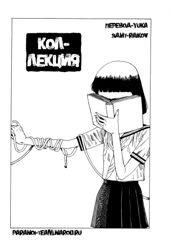 Collection cover