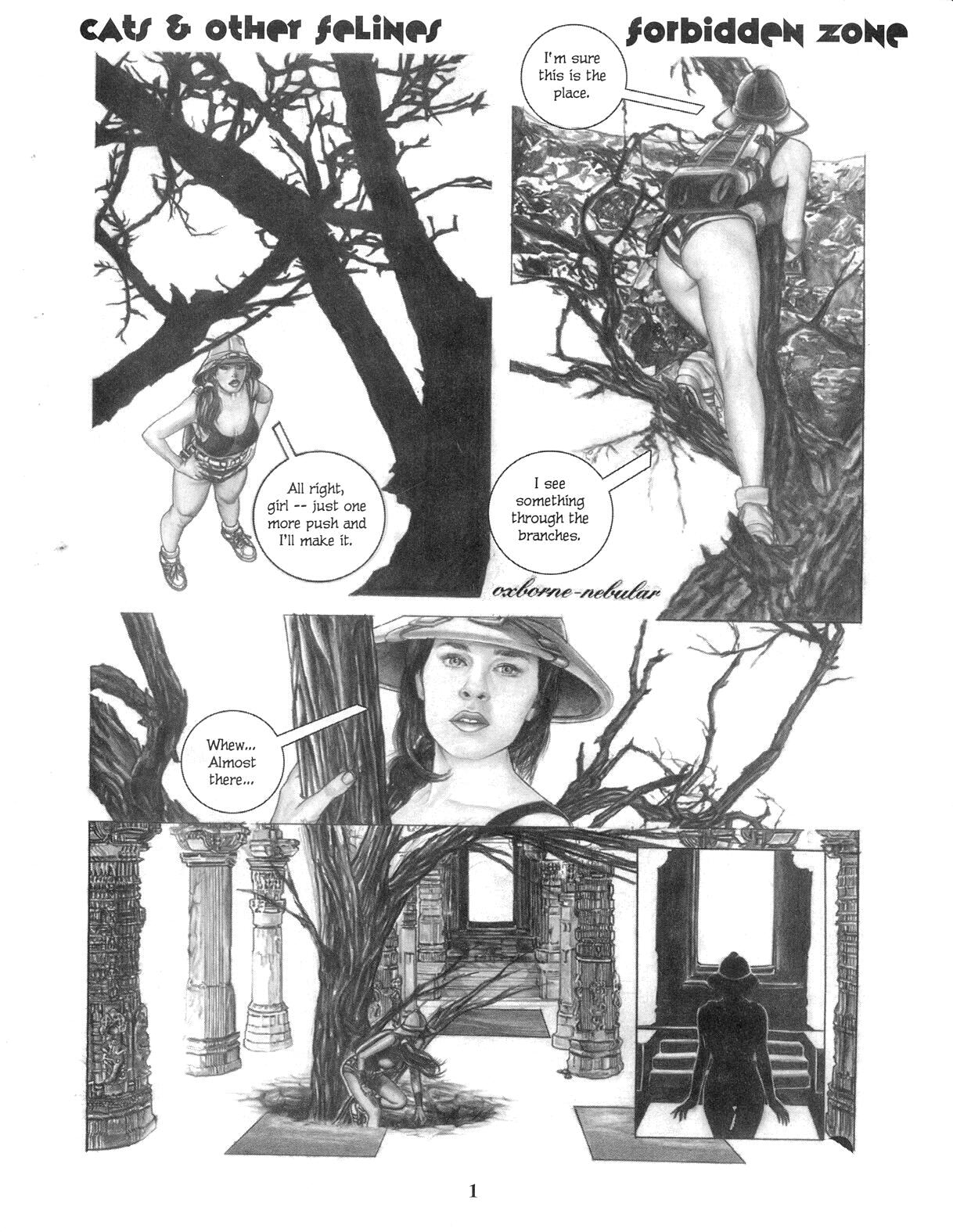 Sizzle Comix # 15 page 3 full