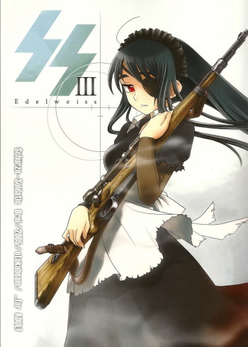 (C69) [Otaku Beam (Ootsuka Mahiro)] SS 3 Edelweiss cover