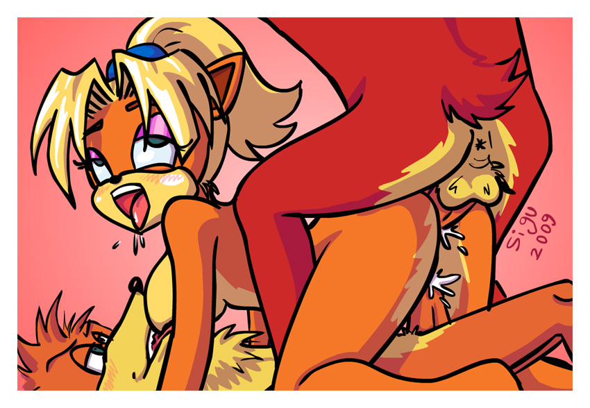 coco bandecoot page 11 full
