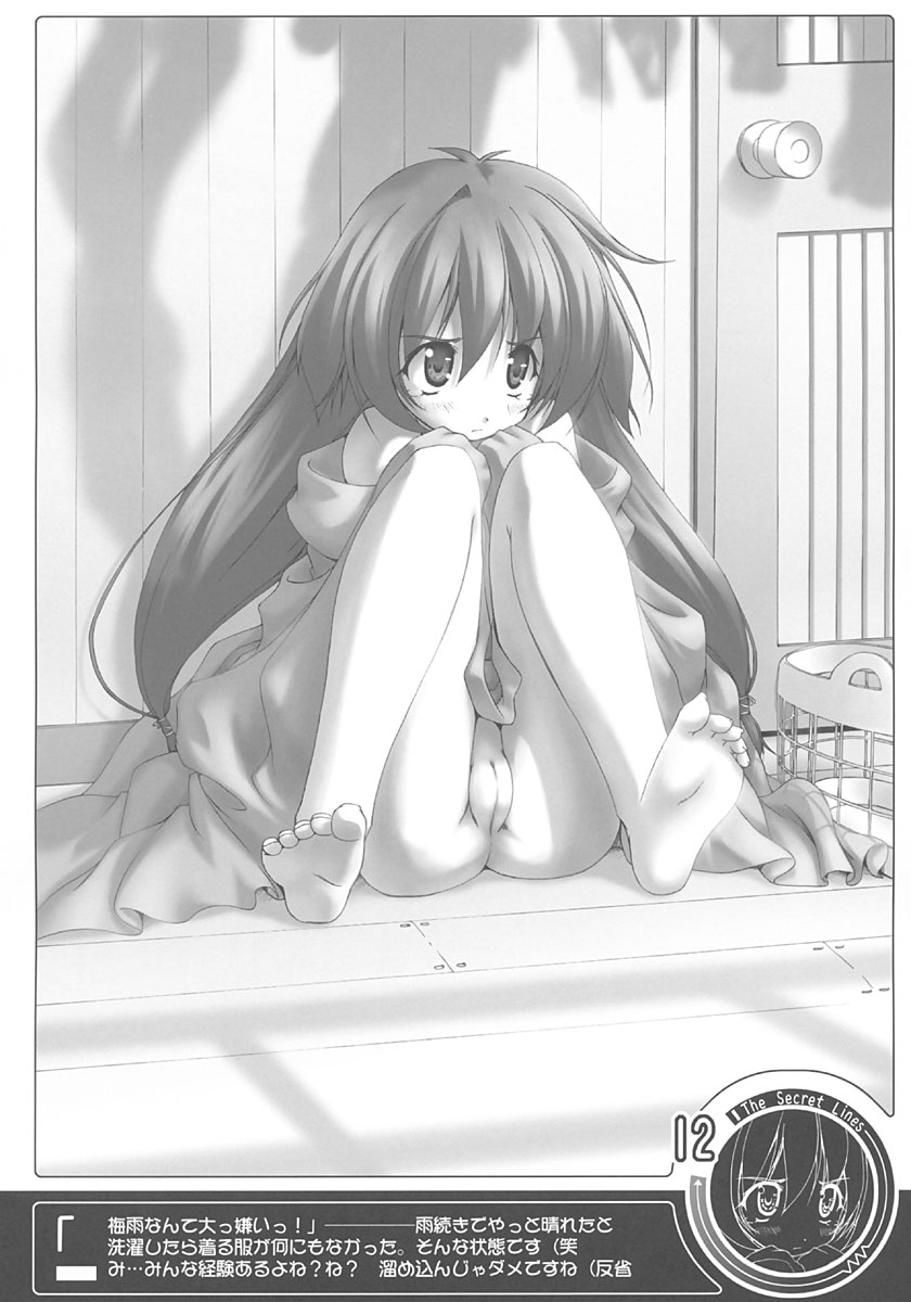 The Secret Lines page 11 full
